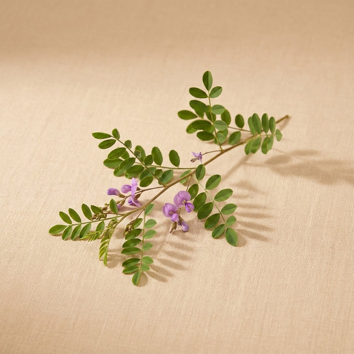 A delicate botanical sprig with green oval leaves and small purple flowers resting on a textured beige fabric background.