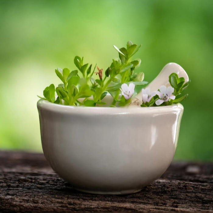 Brahmi leaves with flowers in a mortar and pestel 