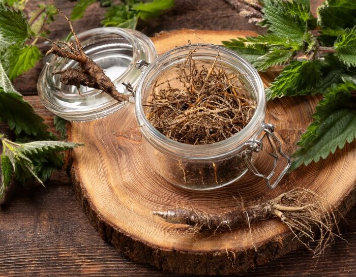 Nettlr roots in a glass jar on a wooden piece with leaves by the side